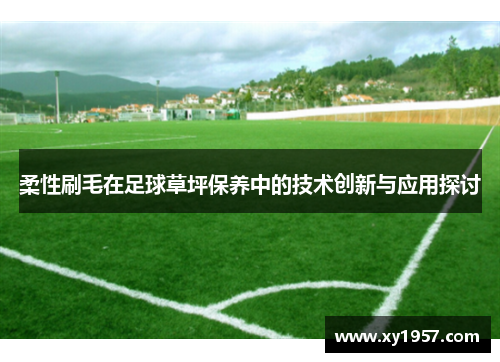 柔性刷毛在足球草坪保养中的技术创新与应用探讨